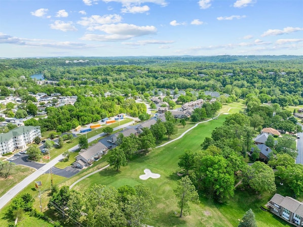 Golf - Tranquil Treehouse Loft - Golf Course Views (Branson)