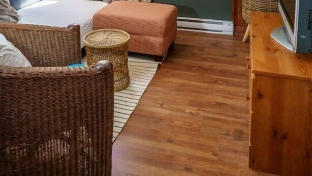 Ein gemütliches Zimmer mit einem Bett, Holzboden, einem Fernseher auf einem Holzgestell und einer großen Pflanze.