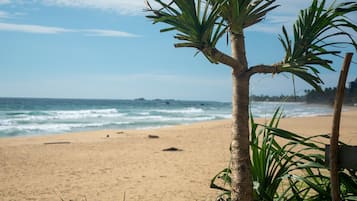 Sun-loungers, beach towels
