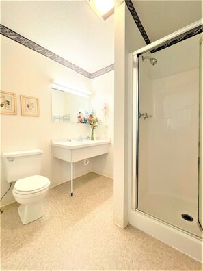 Secador de pelo, toallas