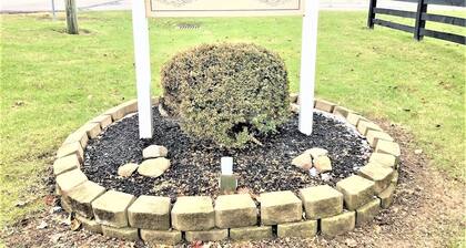 Apt. 5 - Ensuite Bath, Roku, Kitchenette, Full