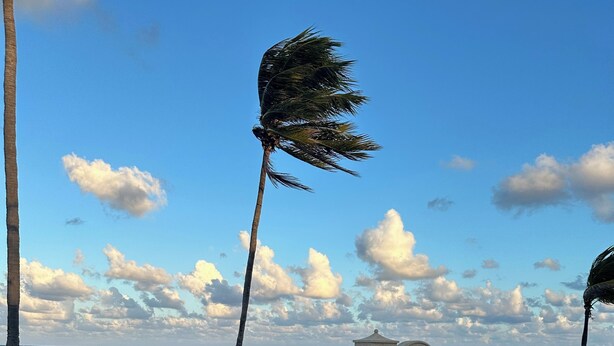 Ein Strand mit Palmen, einem Pflasterweg und einer kleinen Steinstruktur.