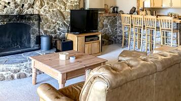 Televisión, chimenea, reproductor de DVD y libros