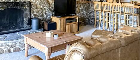 電視、壁爐、DVD 播放機、書籍