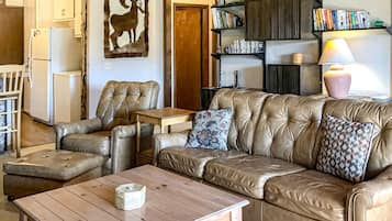 Televisión, chimenea, reproductor de DVD y libros