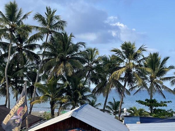 Vue depuis lâhĂ©bergement