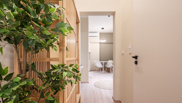 Un pasillo con un separador de madera y una planta en maceta, que conduce a un comedor con una mesa redonda y sillas.