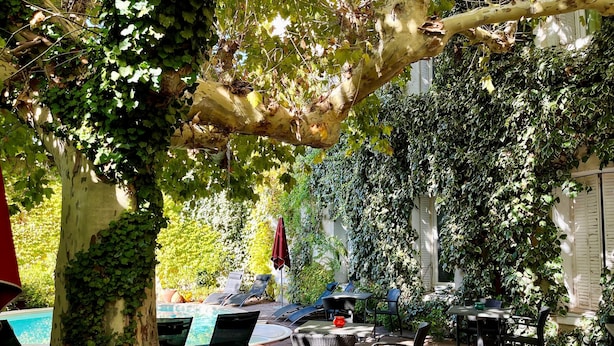 Une terrasse extérieure avec des tables et des chaises, entourée d’une végétation luxuriante et d’un arbre.