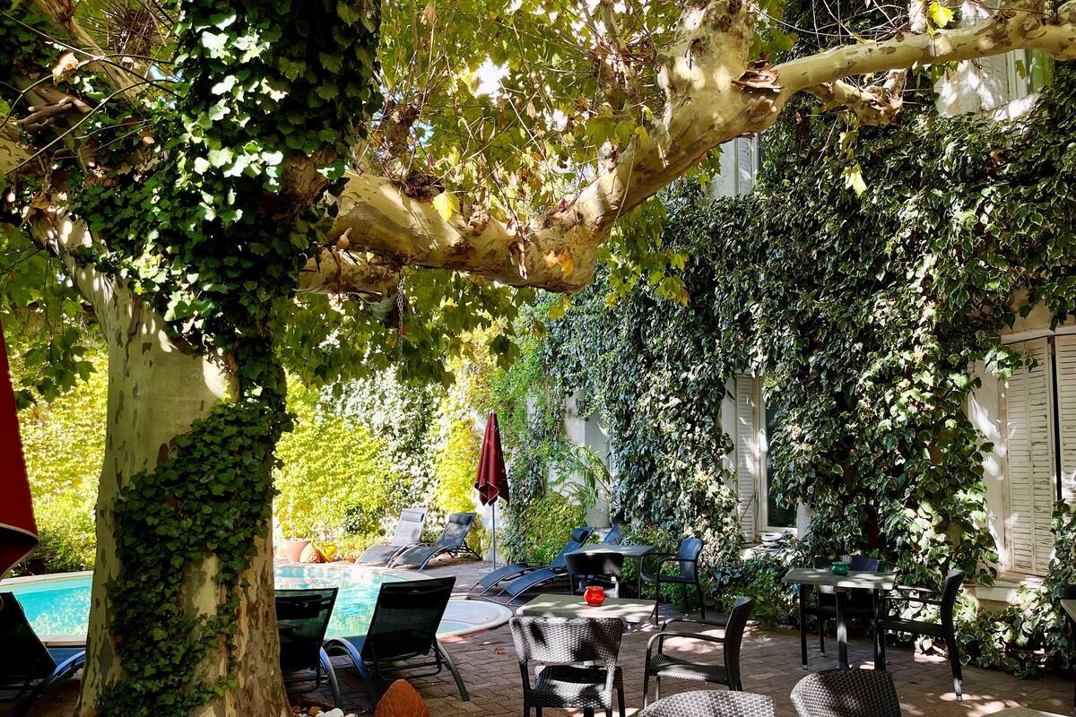 An outdoor patio with tables and chairs, surrounded by lush greenery and a tree.