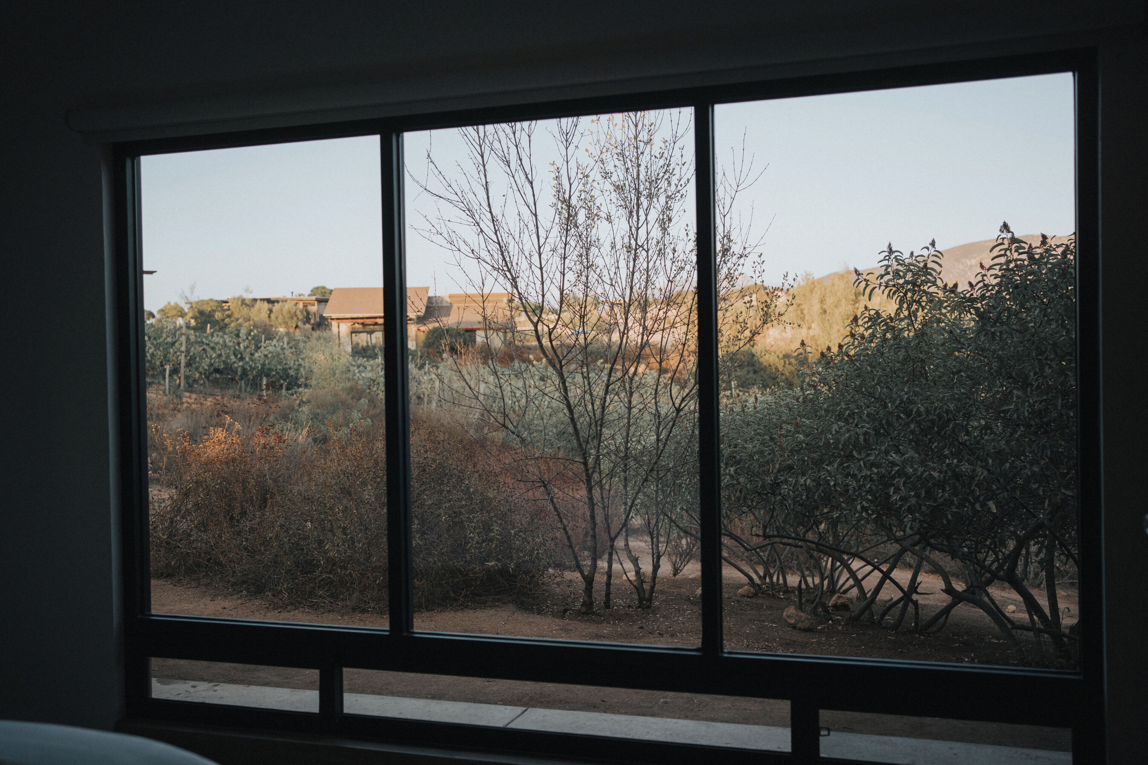 A window with a view of a desert landscape, including sparse vegetation and distant buildings.