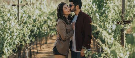 Una pareja de pie en un viñedo con hileras de vid y un sendero de tierra.