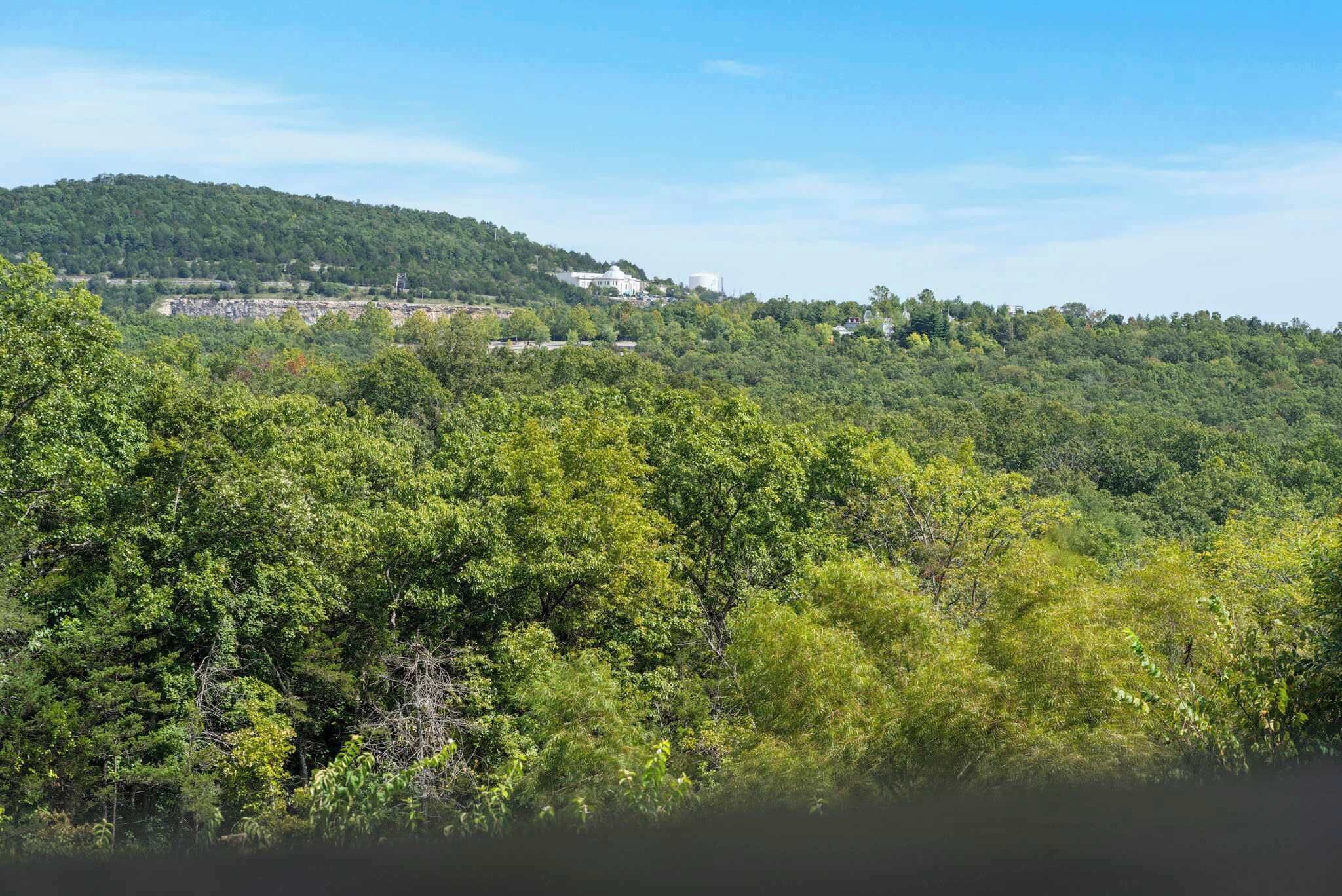 Üppige grüne Landschaft mit dichten Bäumen und einer Hügelkette im Hintergrund.