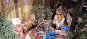 Terrain de lâhĂ©bergement