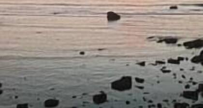 🍃The garden glass house🍃 natural & amusingly comfy