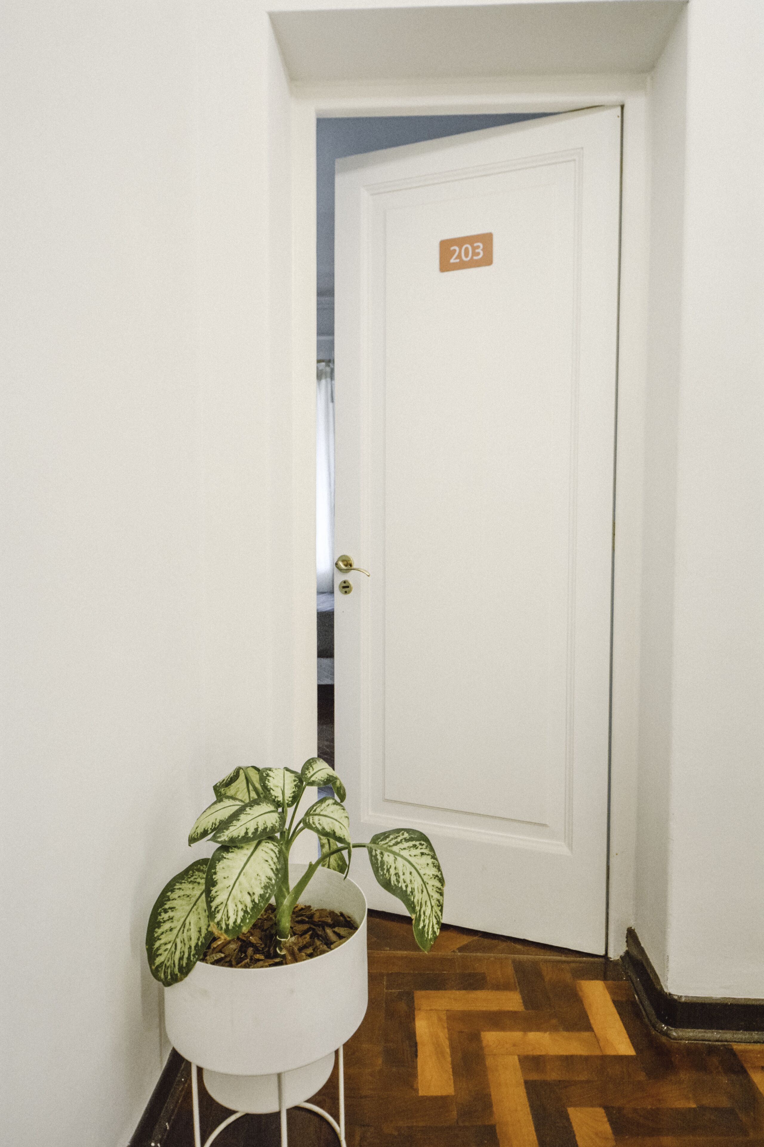 Foto - Anden Aristides