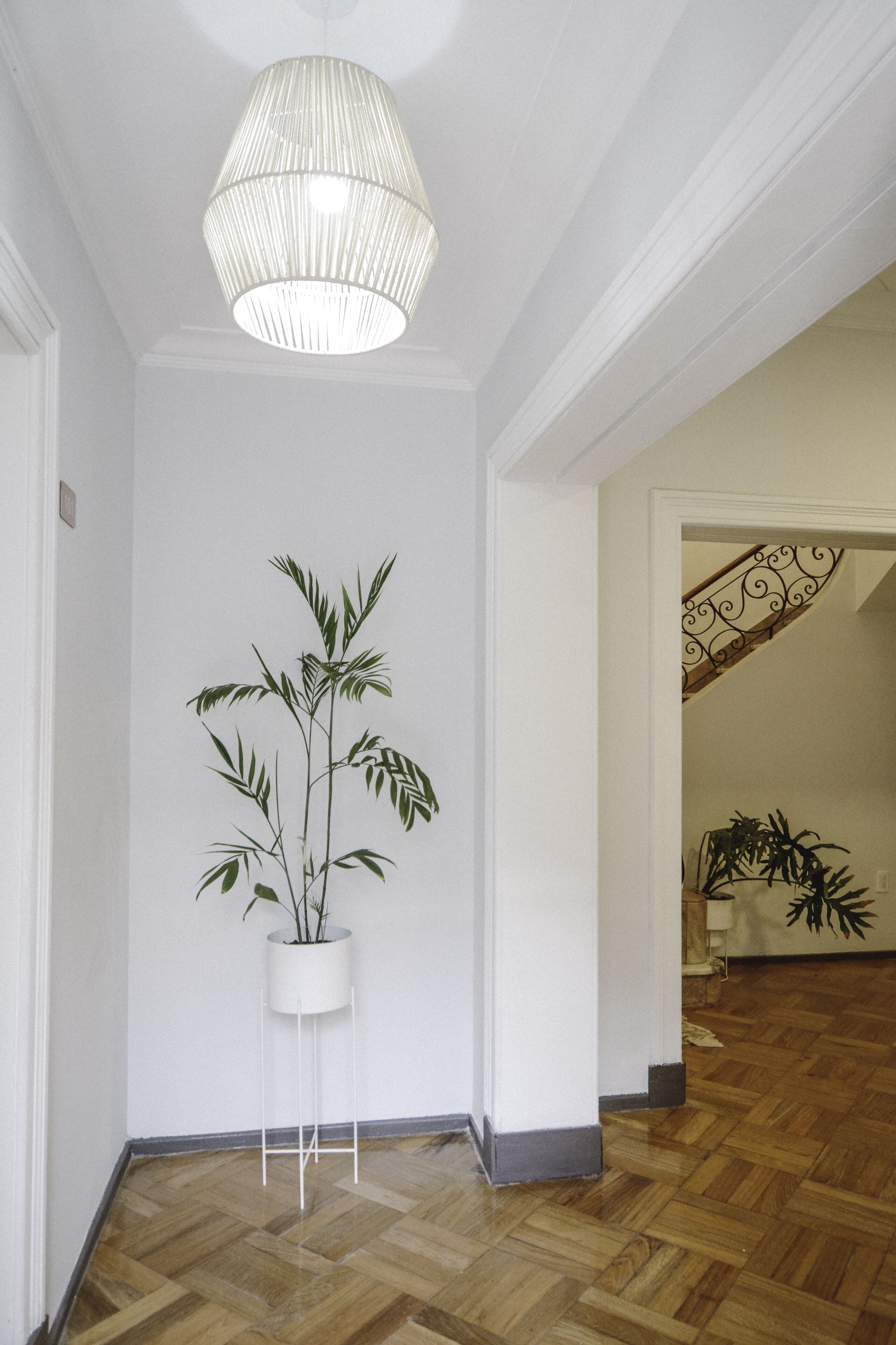 Foto - Anden Aristides