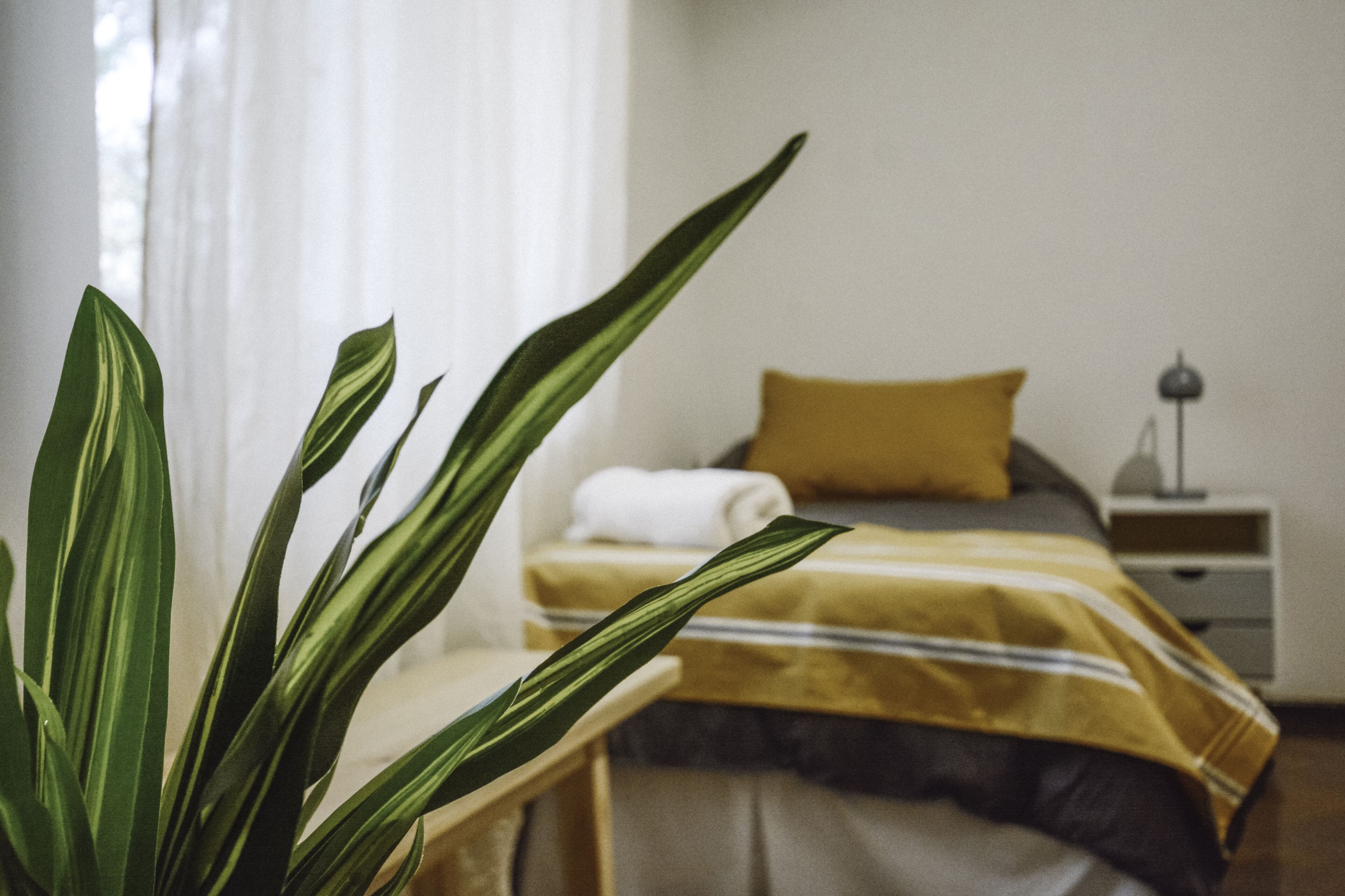 Foto - Anden Aristides