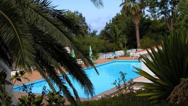 A swimming pool surrounded by palm trees and lounge chairs. - Casa  Grøn (CN)