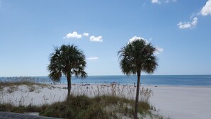 A beach with two palm trees and the ocean in the background. - Beachfront Condo with Private Balcony - Beachfront Resort- Pool - Kitchen  (St. Pete Beach)