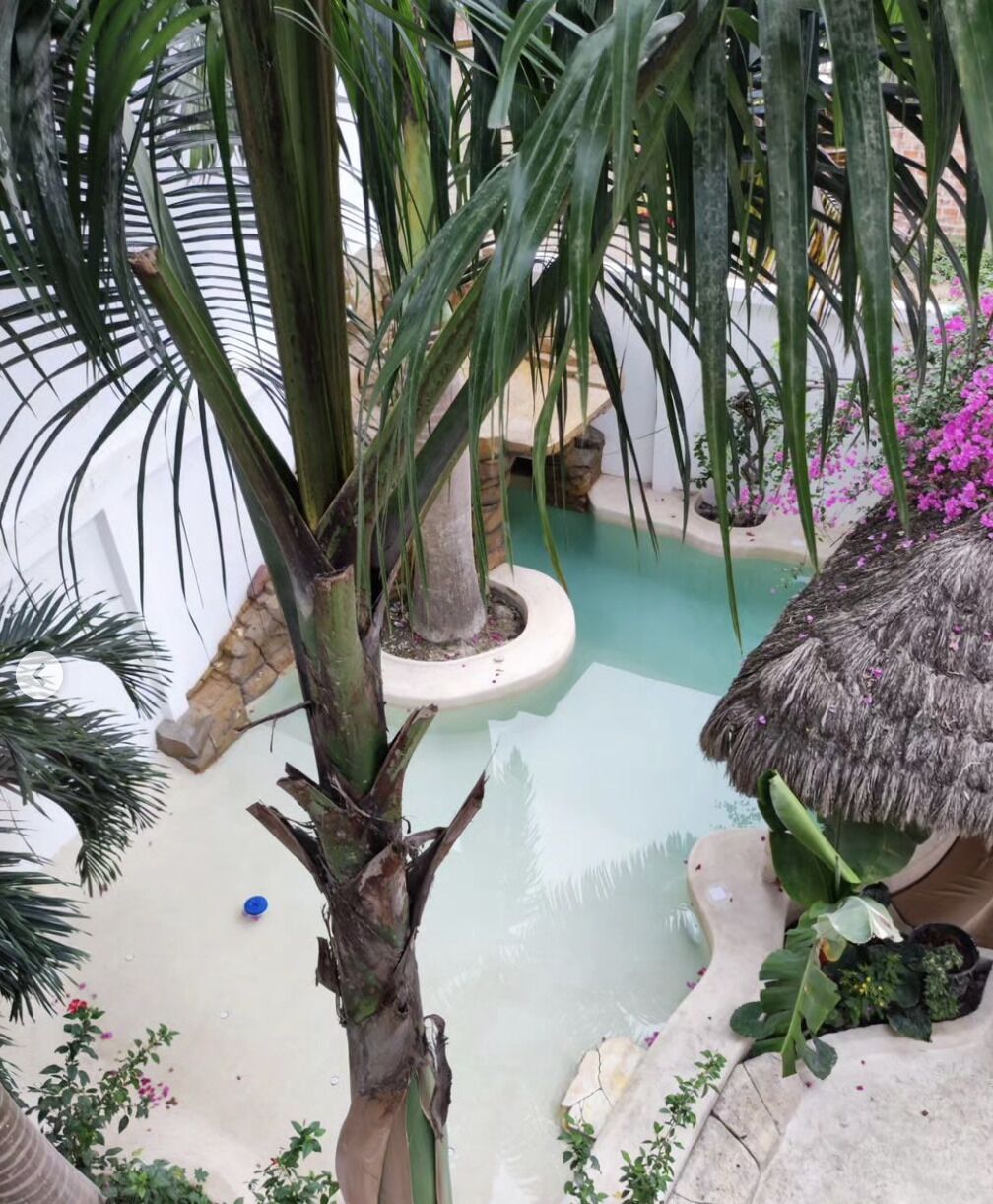 Un jardín tropical interior con una fuente de agua, una estructura de techo de paja y diversas plantas.