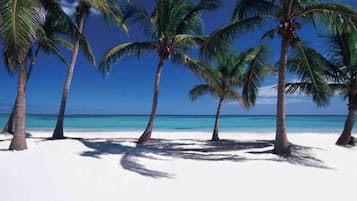 Serviettes de plage