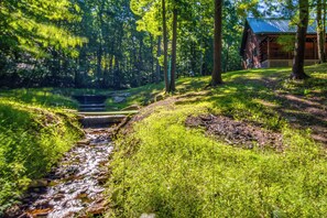 Property grounds - Secluded Cabin w/ On-Site Creek + Trails! (Fallentimber)