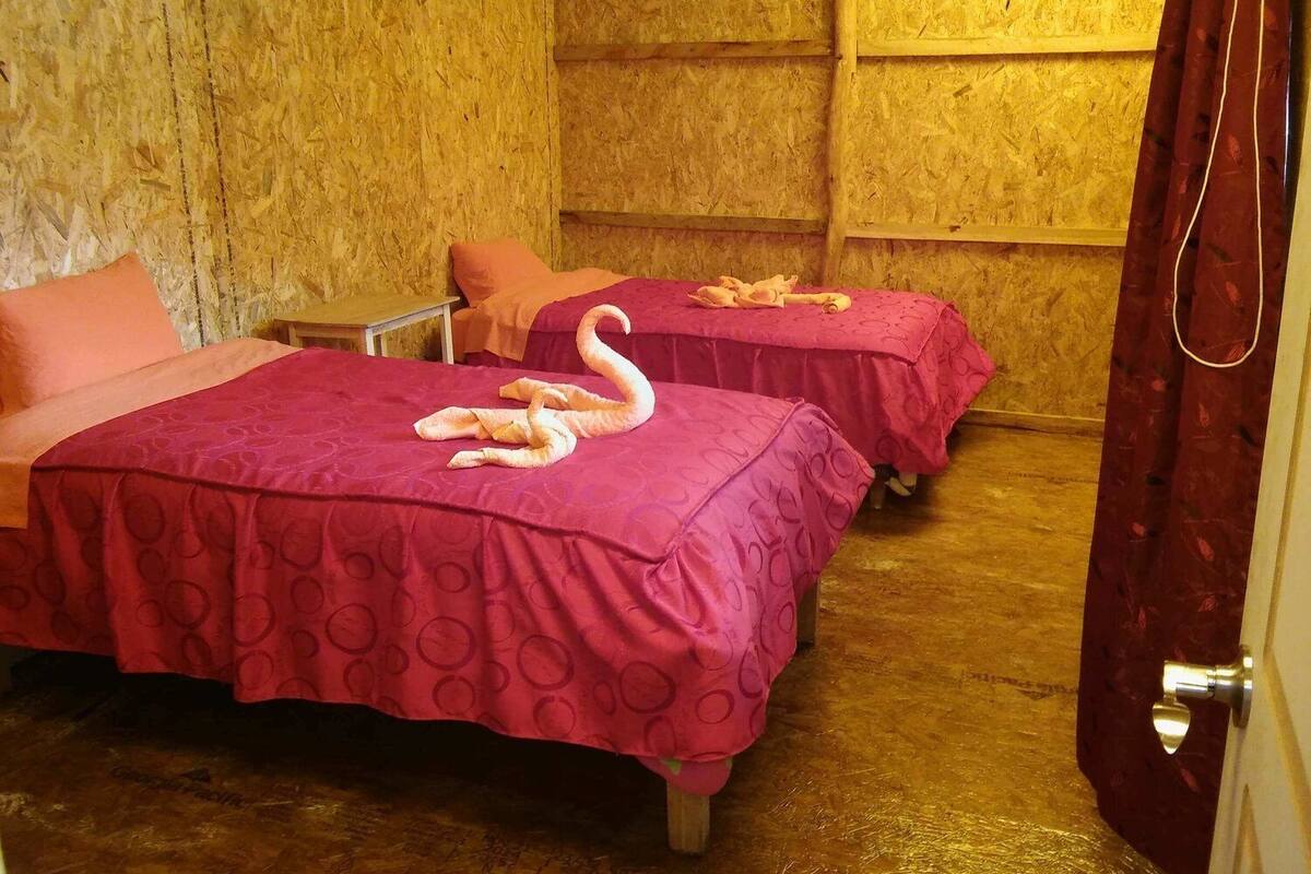Habitación de hotel con dos camas, cada una cubierta con una manta rosa y una toalla decorativa con forma de cisne. El suelo es de madera y la pared tiene una textura.