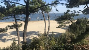 A beach with pine trees and boats in the water. - Arcachon Pereire Appartement Pieds Dans Leau (Arcachon)