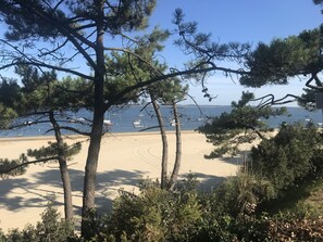 Una spiaggia con pini e barche nell'acqua.