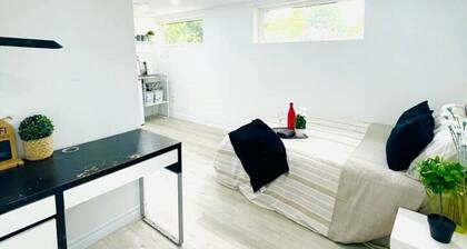 Centrally located newly renovated studio Suite
