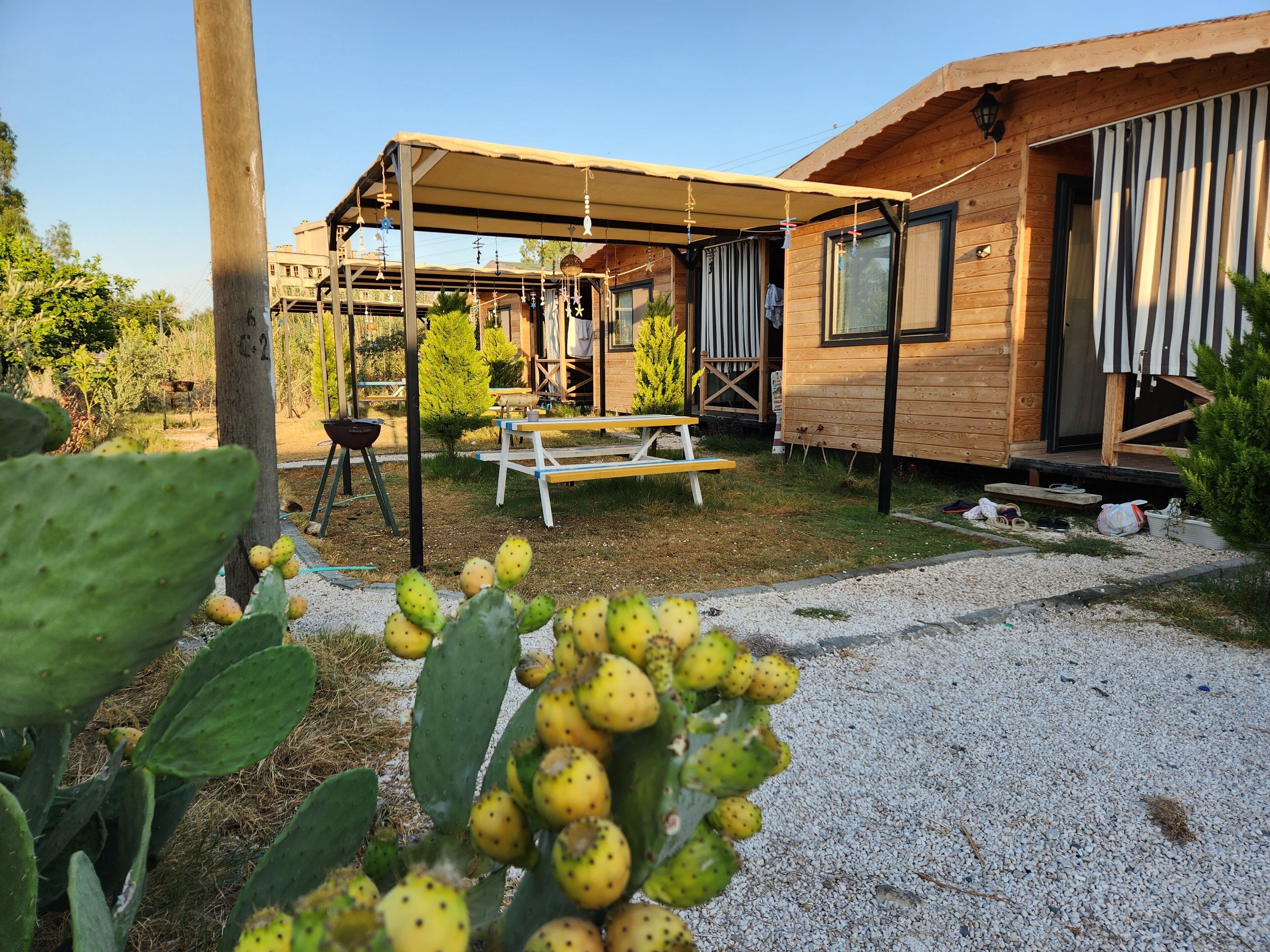 Quiet, peaceful tree house by the sea.  Apartment, bungalow