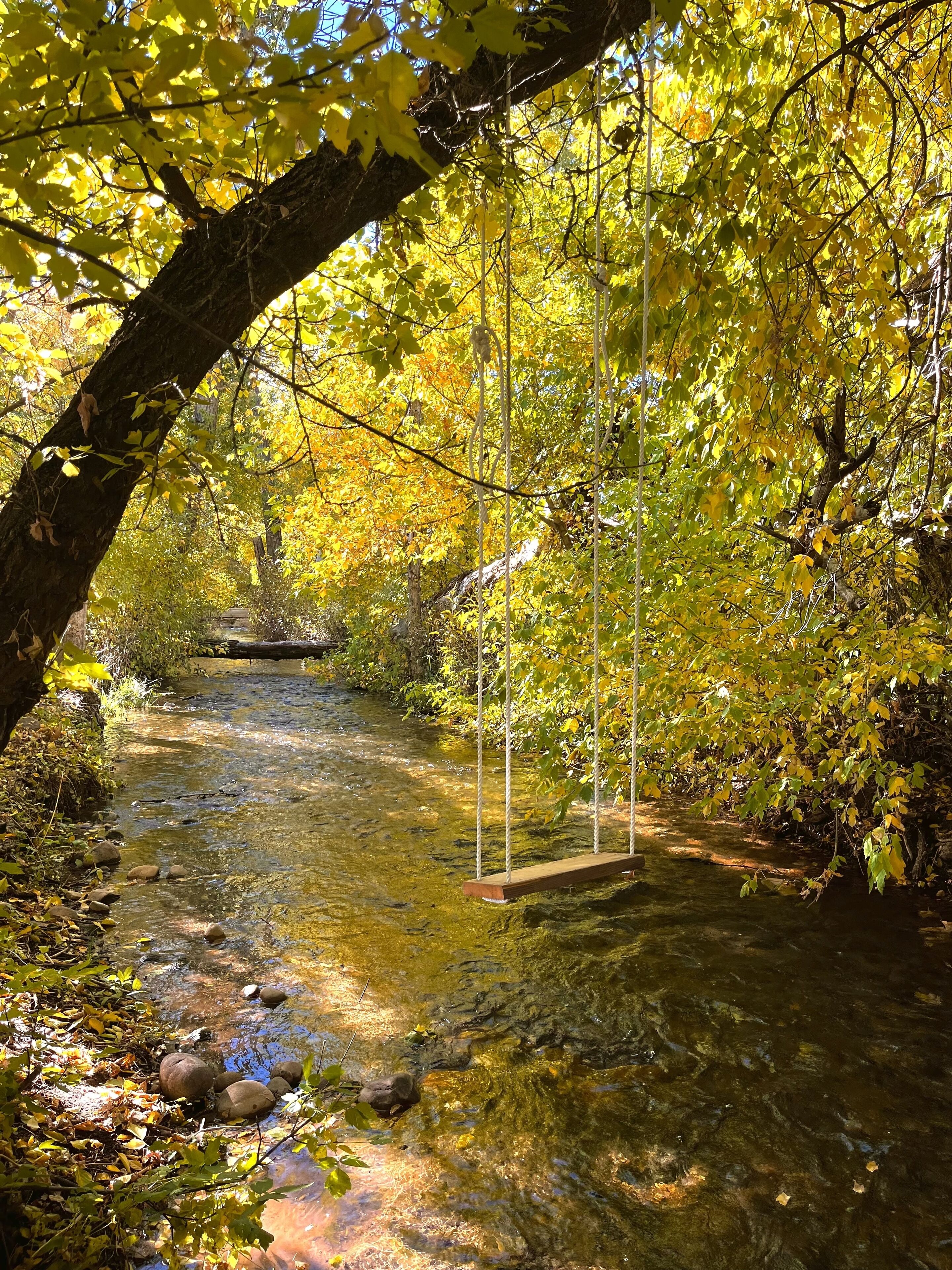 Un arroyo cristalino con un puente colgante, rodeado de árboles con hojas amarillas.