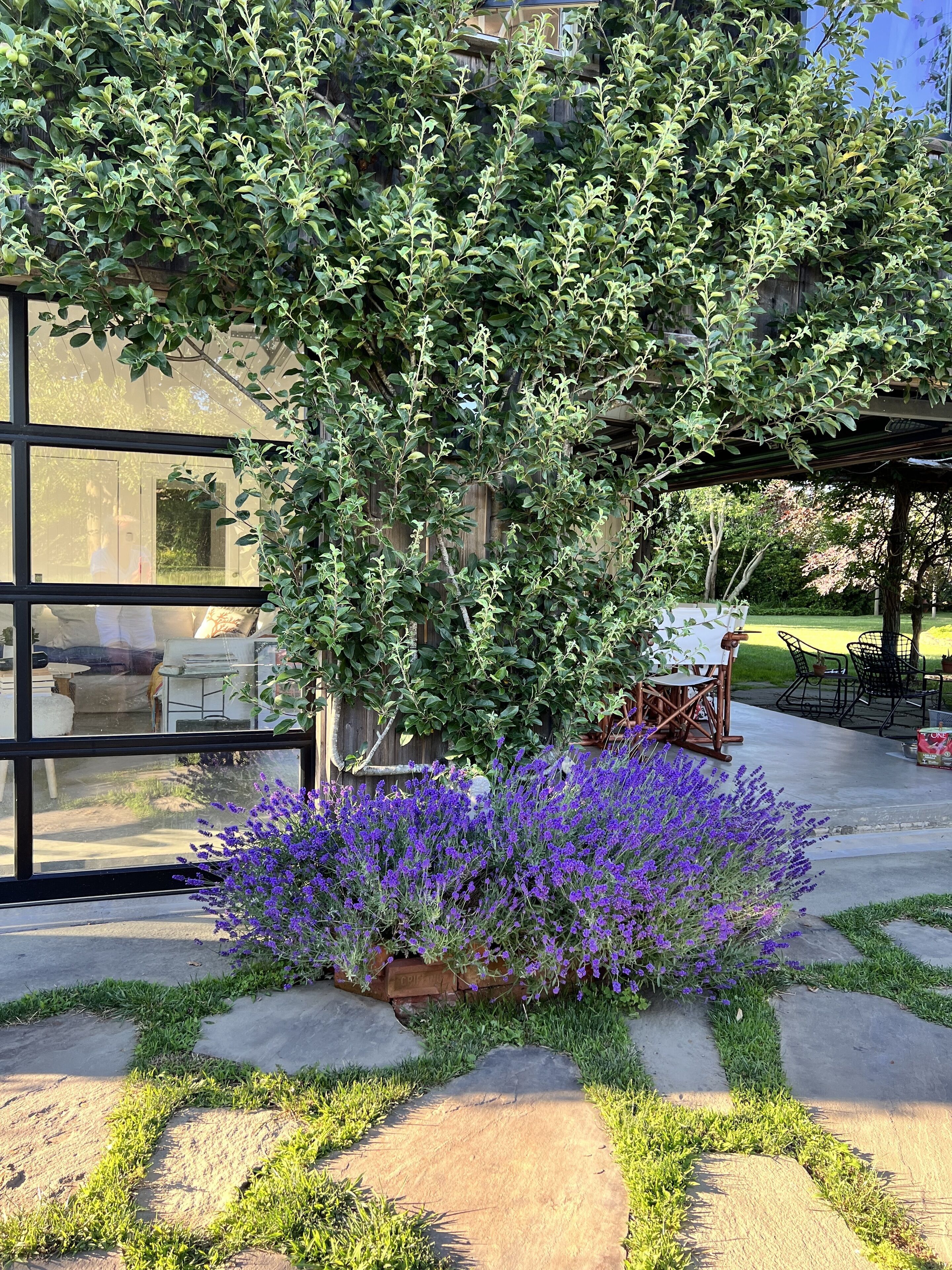 Beautiful plantings.