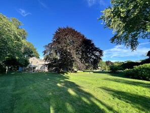 The 1840 Copper Beach is the anchor of the property.
