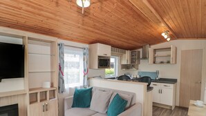 A compact living space with a sofa, a TV, a kitchen area, and a fireplace. - Beech (Swanage)