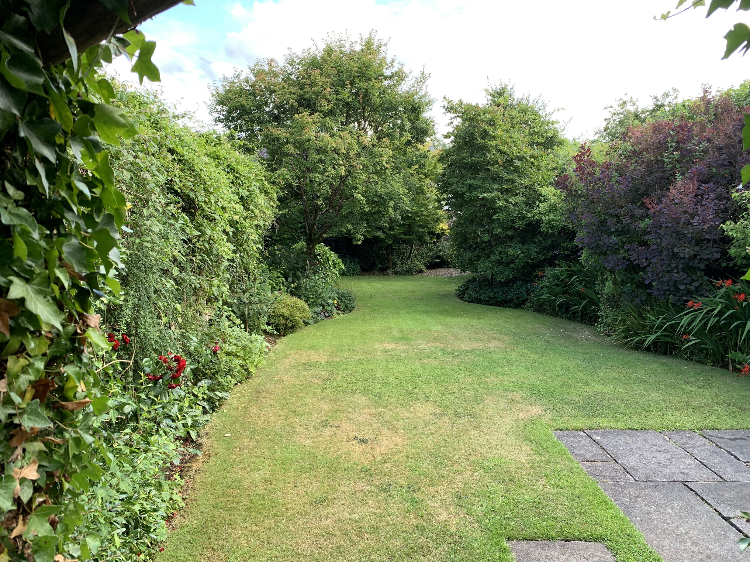Un jardin bien entretenu, avec un chemin sinueux, une végétation luxuriante et une grande variété de plantes.