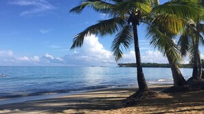 Plage à proximité