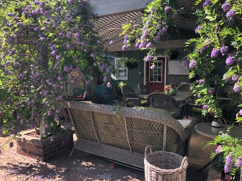 Beautiful Cozy Immaculate cottage 