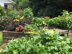 Property grounds - Beautiful Cozy Immaculate cottage  (Fairview)