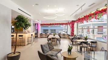 Bar (en la propiedad)