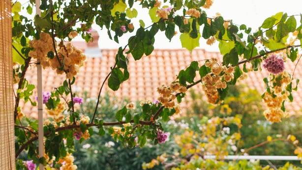 Een terras met rieten meubilair en uitzicht op een tuin.