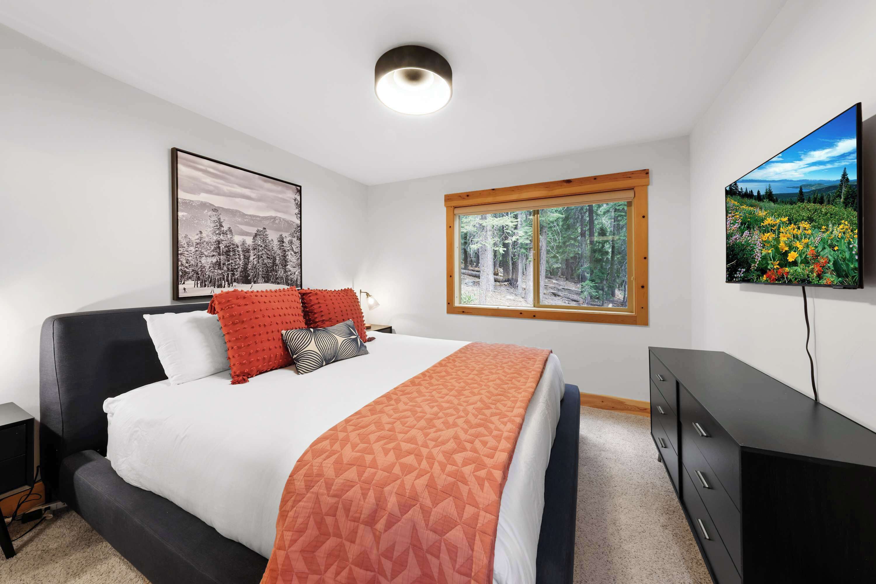 Quarto com cama, janela com vista para árvores, televisão fixada na parede e quadro emoldurado.