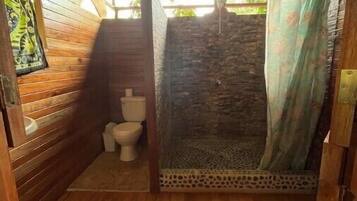 Shower, towels, toilet paper