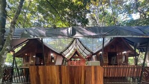Une cabane en bois dotée d’un porche couvert et d’un toit en verre, entourée d’arbres.