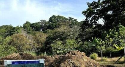 Beachy Jungle Retreat with Pool and Yoga Deck.