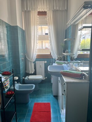 Dusche, Haartrockner, Bidet, Handtücher