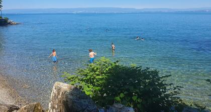 Chalet Chalon