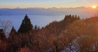 Chalet Chalon