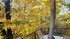 A wooden deck with outdoor seating, surrounded by trees with yellow leaves. - Secluded in The Woods (Dana)