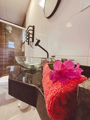 Assecador de cabells, tovalloles, sabó i paper higiènic